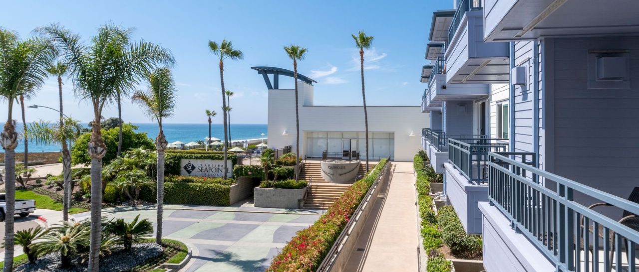 A sunny beachfront resort scene with palm trees, a landscaped walkway, and hotel balconies beside the ocean.