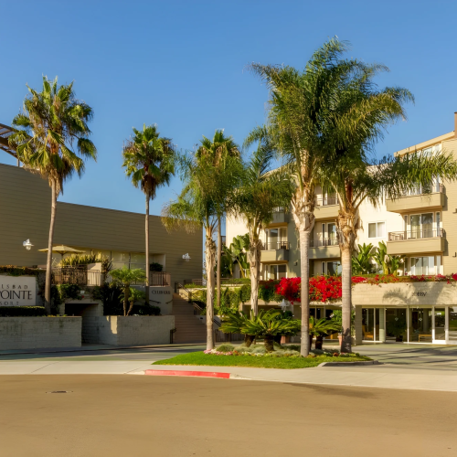 A sunny resort entrance with palm trees, red flowers, and a &ldquo;Carlsbad Seapointe Resort&rdquo; sign on a hotel building.