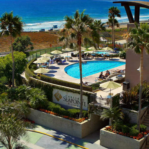 A sunny poolside resort with lounging chairs, palm trees, a blue pool, and a modern outdoor seating area under clear skies.